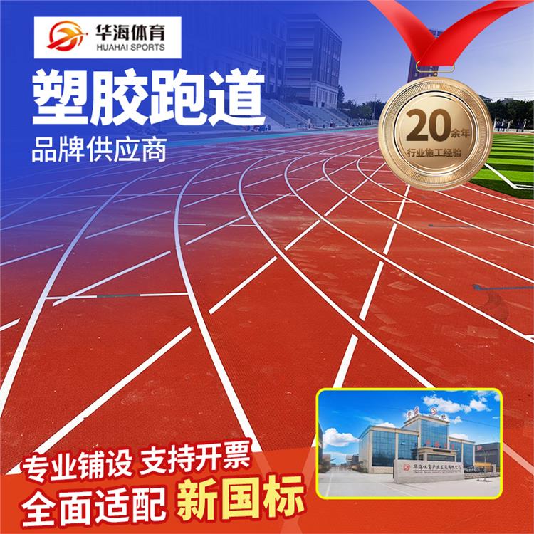 池州市epdm颗粒预制型橡胶跑道 - 方案